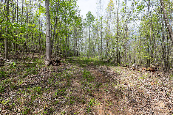 Seven Hills-15