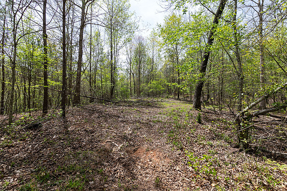 Seven Hills-18