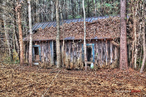 IMG_8532_3_4_tonemapped