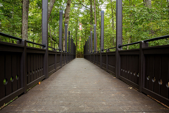 Serenbe Bridge-14