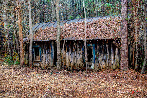 IMG_8532_3_4_fused