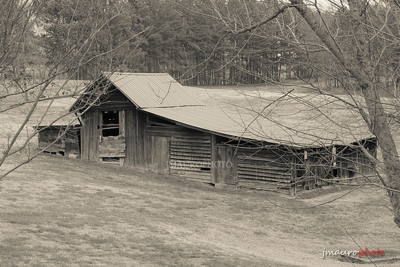 Abandoned Barn