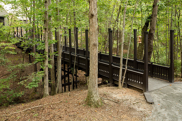Serenbe Bridge-61