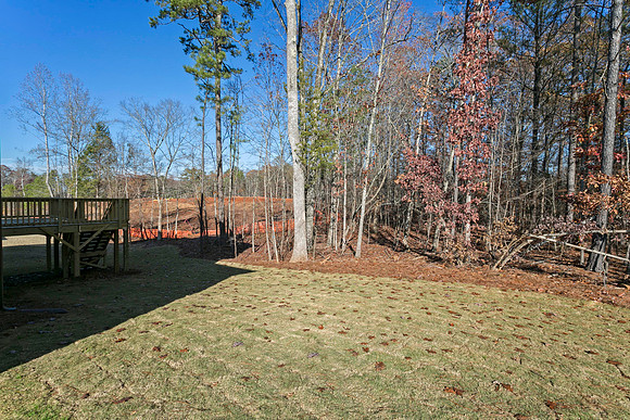 Back Yard-1