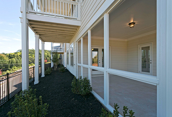 Back Yard-1