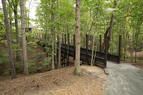 Serenbe Bridge-62