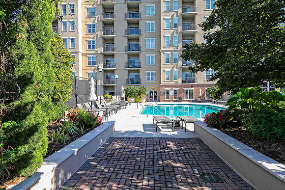 Swimming Pool-1