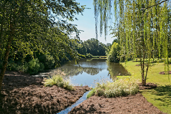 Lake-1