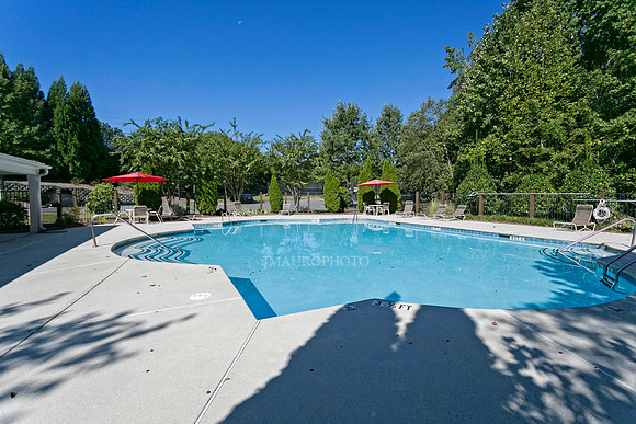 Swimming Pool 1-2