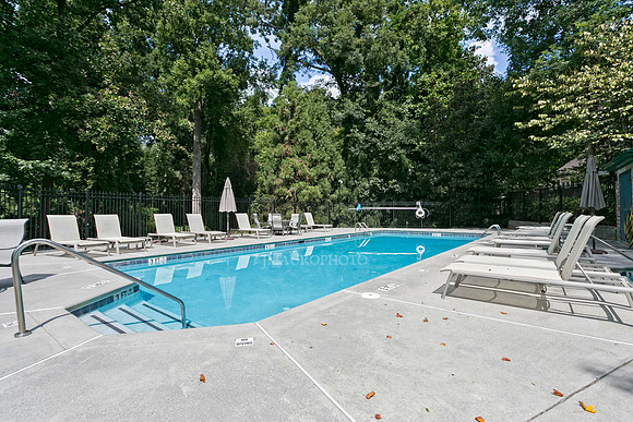Swimming Pool-1