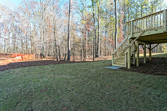 Back Yard-2