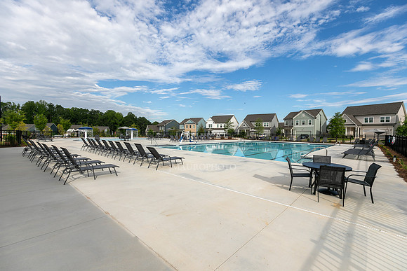Swimming Pool-2