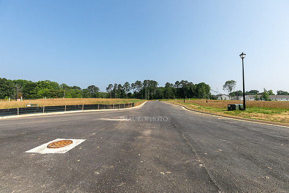 Carlton Crossing-27