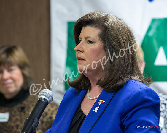Karen Handel