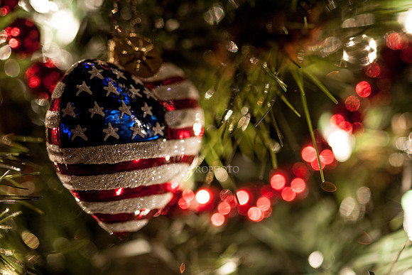 USA Ornament