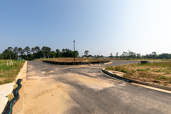 Carlton Crossing-31