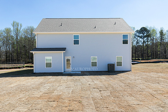 Back Elevation