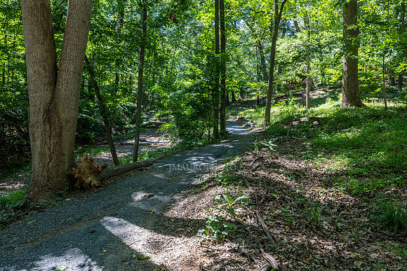 Chastain Park-27