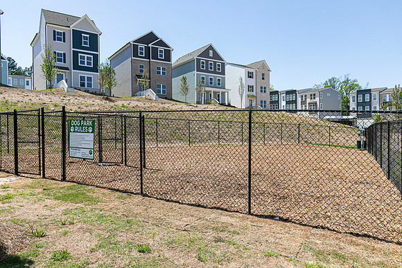 Dog Park-2